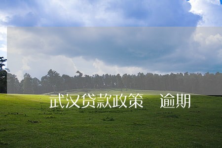 武汉贷款政策 逾期 武汉贷款政策 逾期